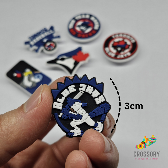 Crossory crocs charms