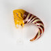 unique-id-d06abff3-6d80-41d0-969a-46417b347f35