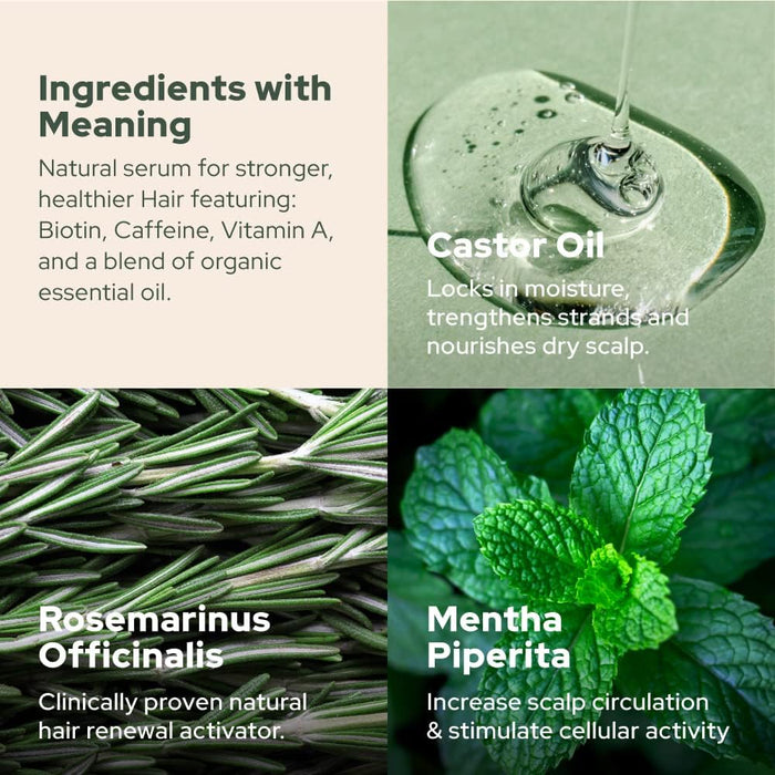 Plant of Life | Rosemary Mint Essential Oil for strengthening Hair & Skin (2oz / 60mL)