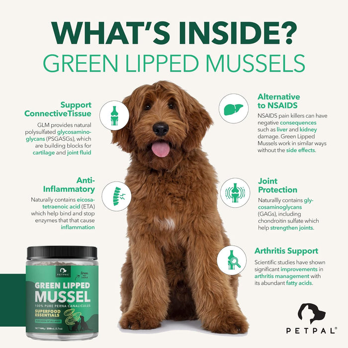 PetPal | New Zealand Green Mussel Powder for Dogs